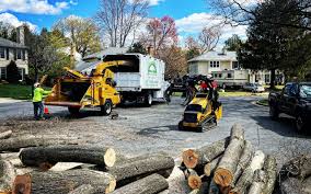 North Granby, CT Tree Care Services Company